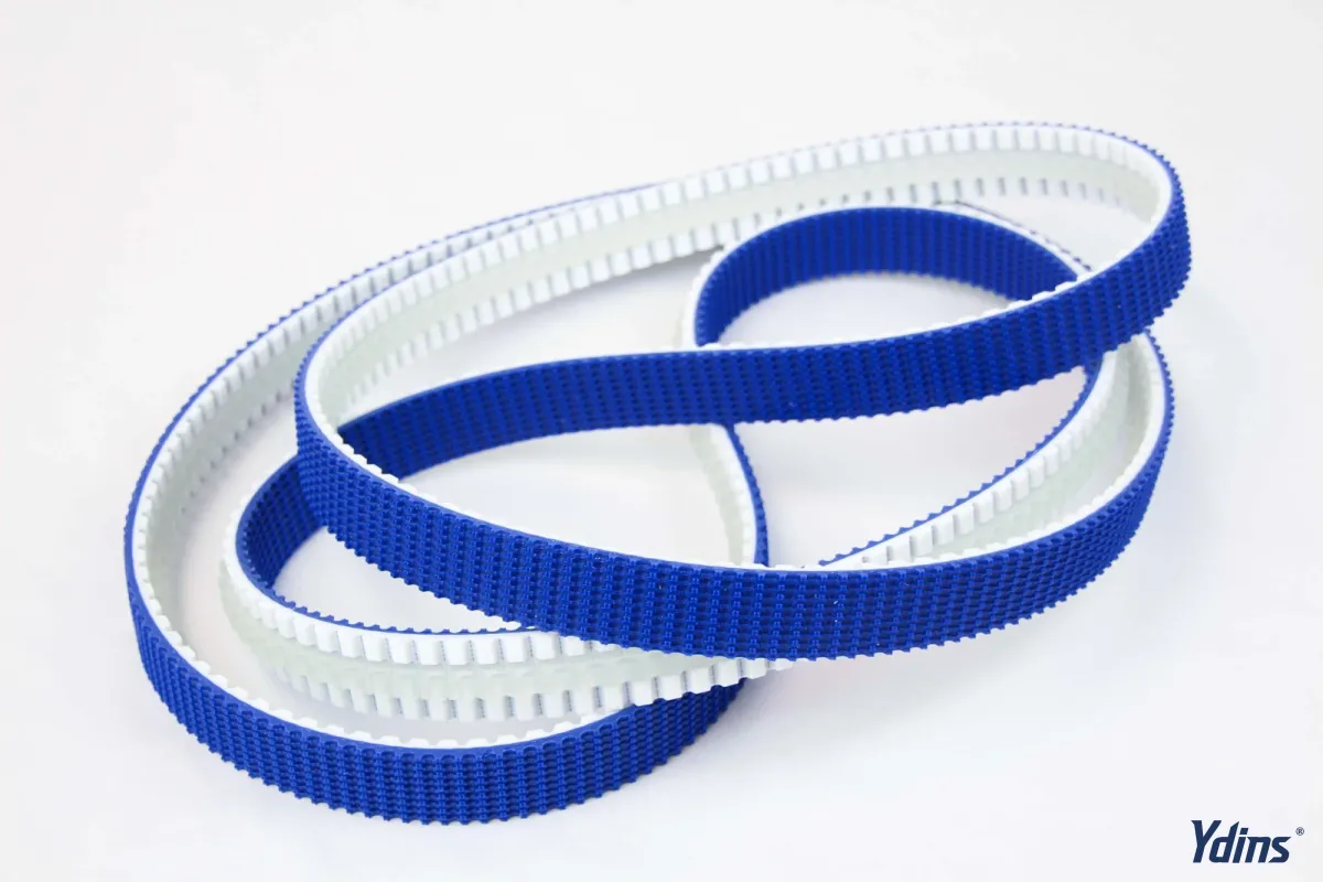 Ydins special belt 3